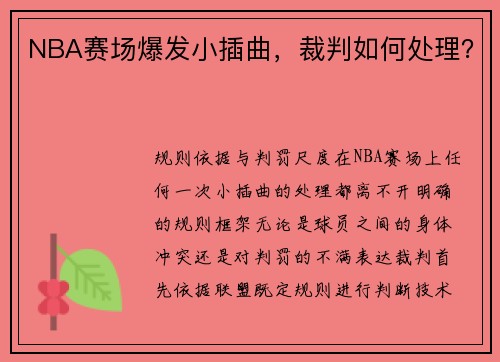 NBA赛场爆发小插曲，裁判如何处理？