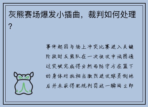 灰熊赛场爆发小插曲，裁判如何处理？